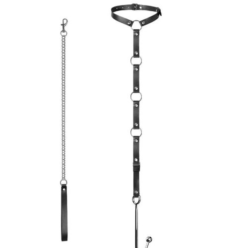 and EverydayUse Leash Anal Collar with 5853 Kinky Hook 1120